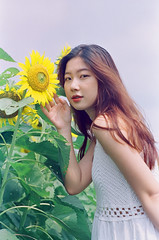 Sun flower - Filmphoto