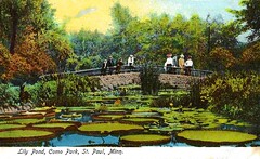 Old Saint Paul Minnesota Postcard Album - The Lily Pond At Como Park