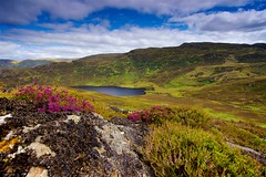 Scotland - Highland - Loch Ness 2