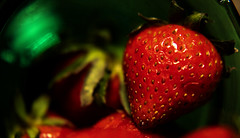 cornucopia of strawberries