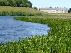 Petworth and Cowdray House