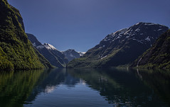 The fjords