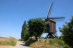 roosdaal - windmill walk