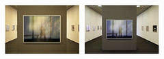 Exhibitions / Ausstellungen