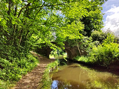 Shropshire Union Canal at Blake Mere