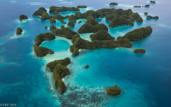 Palau 2019