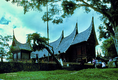 Sumatra 1983