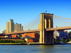 New York City Bridges and Overpasses