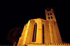 FR11 5890 L'église Saint-André (XIVe - XIXe siècles). Alet-les-Bains, Aude