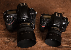 Nikon D3s (2009) / Nikon D500 (2016) ISO