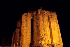 FR11 5897 L’abbaye bénédictine Notre-Dame d'Alet (Xe siècle). Alet-les-Bains, Aude