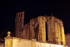 FR11 5893 L’abbaye bénédictine Notre-Dame d'Alet (Xe siècle). Alet-les-Bains, Aude