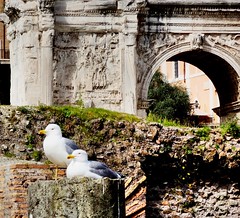 Foro Romano y Coliseo - Roma - Italia