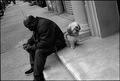 People and dogs