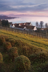 Bodensee - Lake Constance