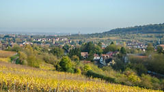 Rosheim et ses environs depuis les hauteurs