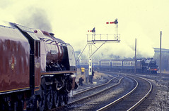 Main line steam in the North West 1979-2024