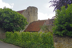 Villeloin-Coulangé (Indre-et-Loire)