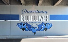 Bellflower, CA