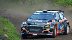 Citroen C3 R5 Chassis 027 (destroyed)