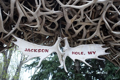 Jackson Hole, WY