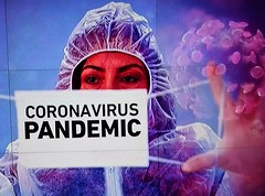 The Great Pandemic 