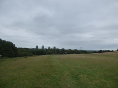 Waseley Hills Country Park