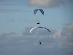 Para-gliders 1st July 2020