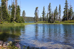 Waldo Lake (via Betty Lake)