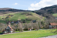 2020 Schwarzwald 