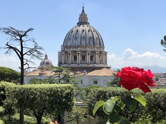 Musei e Giardini Vaticani - 09/07/2020