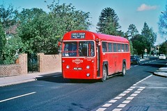 London Transport Red RF's 1970's  --- Copyright M.Thorne