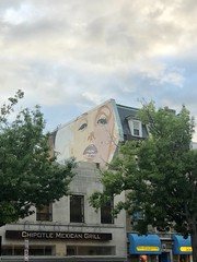 Marilyn Monroe mural from Connecticut Avenue NW, Woodley Park, Washington, D.C.