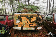 VW Beetle Car Graveyard, USA