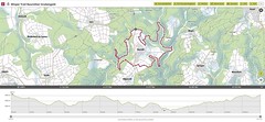 2020_07 Wisper Trail Naurother Grubengold