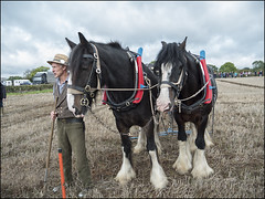 Brailsford Ploughing Competition 2018
