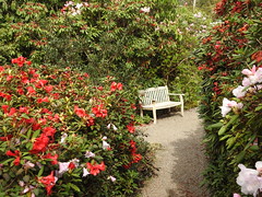 Lea Gardens Matlock (2)