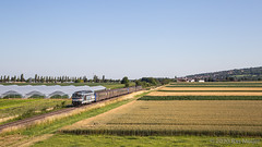 230620 | SNCF 67512 + 222/306 | TER 831753 | Dorlisheim.