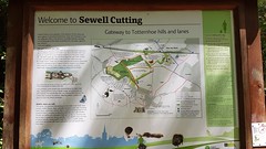 Sewell Cutting
