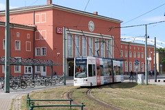Dessau (D)