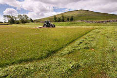 Hay and silage making 