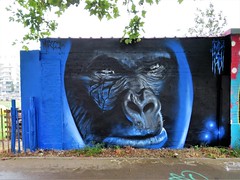 Street art/Graffiti - Bruxelles (2020-2021)