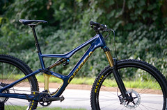 Orbea Occam M10 Navy Gold