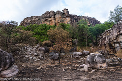 Kakadu Wilderness