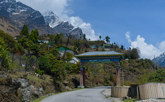 Sikkim - Lachung