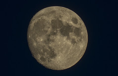 Moon 800mm