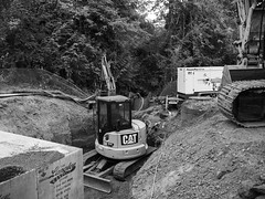 Hall Creek Culvert Replacement Project