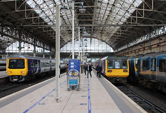 class 142s in Northern purple livery