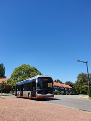 STIB-Bus-37