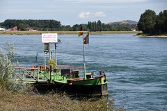 Am Rheinufer